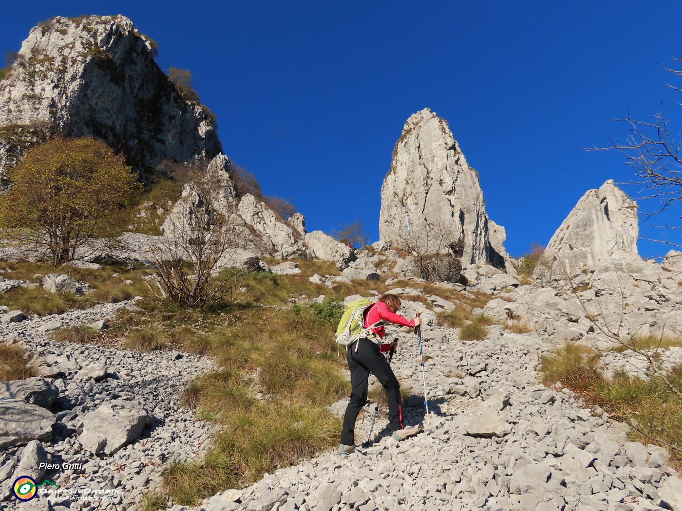 15 Da sx vetta Cornagera e torrioni d'arrampicata Longo- Gemelli.JPG